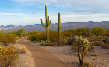 Pima County