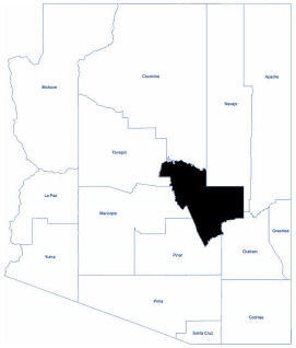 AZ Map with Gila County highlighted