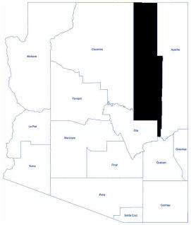 AZ Map with Navajo County highlighted